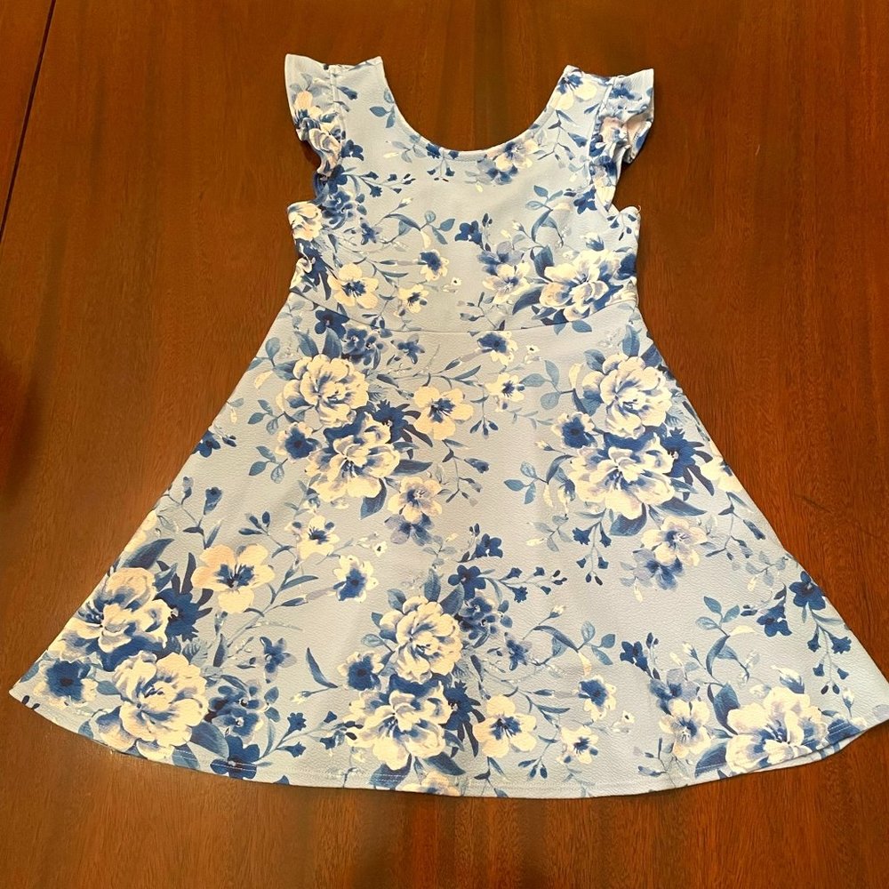 Poppies and Roses Blue and White Floral Dress